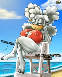 Sonic (Series) Rule 34 Image