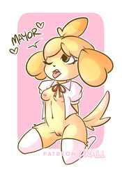 animal_crossing breasts isabelle_(animal_crossing) jekyllsmuts nintendo nipples pussy tagme thighhighs thighs year_request