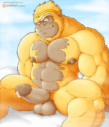 2017 abs ape ball_tuft balls big_biceps big_muscles big_nipples big_pecs crown erect_nipples foreskin fur glans gojho gorilla humanoid_penis looking_at_penis male male_only mammal muscular muscular_male nipples patreon pecs penis precum primate simple_background sitting solo solo_male spread_legs spreading triceps tusks vein veiny_penis yellow_fur