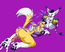 2futas ahe_gao anthro brain breasts cum dickgirl digimon feral fucked_silly furry futa_on_futa futanari gatomon glacierk gore herm intersex looking_pleasured multi_breast oral penis renamon simple_background vaginal_penetration what zhiral