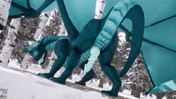 2018 3d all_fours animal_genitalia animal_penis anus ass ass_up barefoot belly_scales big_butt blue_penis blue_scales claws cold crouching cute day detailed_background dragon erection feral garo_(garoshadowscale) genital_slit green_eyes happy hi_res hindpaw horn ice knot long_neck looking_at_viewer looking_back male male_dragon male_only membranous_wings nature paws penis perspective pose presenting presenting_anus presenting_hindquarters presenting_penis quadruped raised_tail rear_view reptile ridged_penis ridges scales scalie seductive shaded shadow shy slit snout snow solo spread_legs spreading sredrahs standing stripe stripes teal_scales thick_thighs toe_claws toes tree western_dragon wings