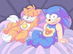 2018 anthro black_nose canine cheek_tuft dipstick_tail fox hedgehog looking_at_viewer male male_only mammal multicolored_tail on_bed penis roarey_raccoon slightly_chubby sonic_(series) sonic_the_hedgehog tails tuft video_games