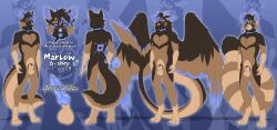 animal_genitalia anthro balls blep canid canine canis chastity_device collar domestic_dog english_text erection genitals german_shepherd herding_dog hi_res hybrid knot knotted_penis lawkie male mammal model_sheet nude pastoral_dog penia penis sheath solo standing text tongue tongue_out wings