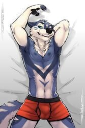 anthro blue_fur boxer_briefs bulge canine clothed clothing fur hi_res lying male male_only mammal partially_clothed pawpads ryker simple_background solo tsaiwolf underwear