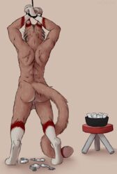 2018 4_toes after_sex anthro anus arms_above_head ass athletic back_muscles backsack balls big_tail bondage bound brown_background brown_fur condom digital_media_(artwork) digitigrade dipstick_tail feline filled_condom fur gloves_(marking) hands_tied khajiit light_bondage lomethoron lynx male mammal marjani markings multicolored_fur multicolored_tail nude public_use rear_view red_fur rope rope_bondage simple_background solo standing the_elder_scrolls toes two_tone_fur video_games whiskers white_fur