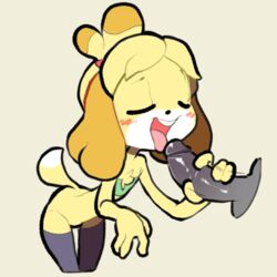 animal_crossing anthro blush bottomless canine closed_eyes clothed clothing female fur furry handjob isabelle_(animal_crossing) itsunknownanon leggings legwear licking male male/female mammal nintendo oral penis penis_lick sex shih_tzu simple_background solo_focus straight tail tongue tongue_out tube_top video_games