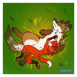 anthro backsack balls canine cuddling d_kenmason female feral fluffy fox grass hug larger_female lying male mammal on_back paws pornography_(artist) red_fox size_difference wolf