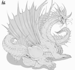 ass big_ass dragon dryadex dungeons_and_dragons female female_dragon female_feral feral feral_dragon greyscale long_tail looking_at_viewer looking_back lying membranous_wings monochrome pussy raised_tail reptile scalie signature simple_background solo vagina white_background wings