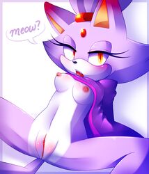 blaze the cat from sega by jayaero