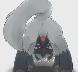 1boy 2016 animal_genitalia animal_penis anus ass balls canine_penis compression_artifacts erection feral fur furry grey_fur grin knot looking_at_viewer looking_through_legs male male_only nintendo paws penis pokémon_(species) pokemon pokemon_(species) pokemon_rse poochyena presenting presenting_hindquarters rear_view red_eyes simple_background smile solo t_hana_t testicles uncensored video_games white_background