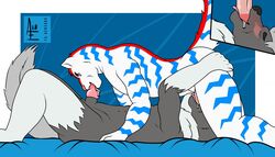 69_position aereous anthro ass balls canine cum duo erection feline fellatio fur hi_res humanoid_penis male mammal nude open_mouth oral penis precum sex tongue tongue_out white_fur wolf yaoi