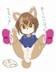 anthro anus brown_eyes brown_hair canine dog female furry panties pussy sake_kemosalmon short_hair smile solo uncensored