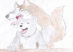 gin (ginga) from ginga (series)