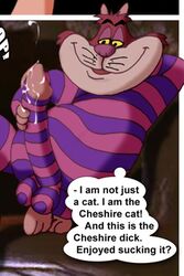 alice_in_wonderland alice_in_wonderland_(1951_film) balls cheshire_cat_(disney) disney english english_text helg male_only penis tagme testicles