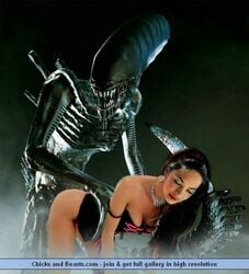 1boy 1boy1girl 1girls 3d actress alien alien/human alien_(franchise) celebrity female human interspecies kristin_kreuk male male/female male_xenomorph real_person vaginal_penetration xenomorph