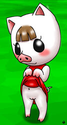 animal_crossing artist_request blush dress_lift female female_only lucy_(animal_crossing) nintendo pig pussy straight_hair year_request