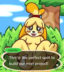 2018 animal_crossing anthro anus ass blush breasts canine canine digital_media_(artwork) female fur hair isabelle_(animal_crossing) looking_at_viewer lying mammal nintendo nipples nude nulloffset on_back open_mouth outside presenting presenting_anus presenting_hindquarters presenting_pussy pussy shih_tzu sky smile solo spread_legs spreading text tongue tree video_games yellow_fur