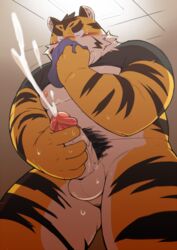 2015 anthro ayame42612 balls belly blush closed_eyes clothed clothing cum feline male male_only mammal masturbation moobs nipples open_shirt overweight overweight_male penis shirt sniffing solo sweat tiger