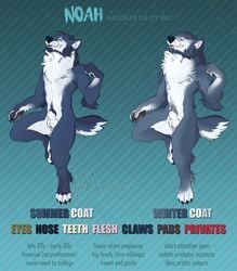 2018 4_toes 5_fingers animal_genitalia anthro ball_tuft balls barefoot biped black_border body_hair border brown_pawpads canine chest_tuft claws countershade_tail countershade_torso countershading cutaway detailed digitigrade ear_piercing elbow_tufts english_text facial_hair fangs fluffy full-length_portrait fully_sheathed fur fur_tuft goatee grey_fur half-closed_eyes happy_trail head_tuft hi_res humanoid_hands inner_ear_fluff kevintheradioguy male mammal markings model_sheet multicolored_fur multiple_images neck_tuft noah_(kevintheradioguy) nude open_mouth pattern_background pawpads paws piercing portrait pose pubes raised_arm sheath sideburns simple_background smile smirk snout solo standing striped_background teeth text toeless_(marking) toes tuft two_tone_fur two_tone_tail watermark whiskers white_balls white_fur white_markings white_tail wolf yellow_eyes