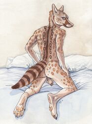 2018 5_toes anthro ass athletic back_muscles backsack balls bed beige_penis biped brown_fur brown_markings brown_spots brown_tail cape_genet claws eye_markings facial_markings flaccid frown full-length_portrait fur genet grey_claws grey_eyes hand_on_leg hi_res hindpaw humanoid_hands humanoid_penis inner_ear_fluff kneeling lighting looking_back male male_only mammal markings multicolored_fur muzzle_scabs nude on_bed pawpads paws penis perineum pillow pink_nose portrait rear_view ringtail sagging_balls shadow snout solo spots spotted_fur tan_balls tan_fur tan_pawpads toe_claws toes traditional_media_(artwork) ulos12 uncut viverrid watercolor_(artwork) whiskers white_fur