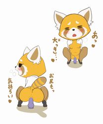 2d aggressive_retsuko anthro anus ass black_eyes blush bottomless breasts breath clitoris clothed clothing collarbone crouching dildo female footwear full_body half-closed_eyes heart hi_res japanese_text mammal masturbation multiple_angles navel nipples office_lady open_mouth open_shirt pussy pussy_juice rear_view red_panda retsuko sake_(pixiv) sex_toy shirt shoes simple_background small_breasts solo spread_legs spreading straight_hair text translation_request uncensored vaginal_penetration white_background