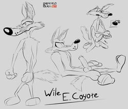 1boy 2018 animal_genitalia animal_penis anthro balls canine coyote cum digital_media_(artwork) erection fur looney_tunes male male_only mammal nude open_mouth penis prometheusblack simple_background smooth_fur solo toony warner_brothers wile_e._coyote