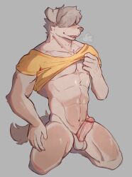 2023 abs absurd_res anthro balls bangs beastars big_muscles bottomless bottomless_anthro bottomless_male breath canid canine canis clothed clothing collot_(beastars) domestic_dog erection fur genitals grey_background hair herding_dog hi_res humanoid_genitalia humanoid_penis leborkss male male_only mammal muscular muscular_anthro muscular_male navel old_english_sheepdog pastoral_dog pecs penis raised_clothing raised_shirt raised_topwear seductive sheepdog shirt simple_background smile solo topwear tuft