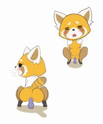 2d aggressive_retsuko anthro anus ass black_eyes blush bottomless breasts breath clitoris clothed clothing collarbone crouching dildo female footwear full_body half-closed_eyes hi_res mammal masturbation multiple_angles navel nipples office_lady open_mouth open_shirt pussy pussy_juice rear_view red_panda retsuko sake_(pixiv) sex_toy shirt shoes simple_background small_breasts solo spread_legs spreading straight_hair textless uncensored vaginal_penetration white_background