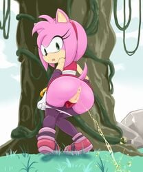 amy_rose ass bracelet clitoris clothing cloud dress female footwear gloves grass green_eyes hairband hi_res jewelry legwear looking_back looking_down open_mouth outside panties panty_pull peeing pussy rear_view rock sake_(pixiv) shoes sky solo sonic_(series) standing teeth thigh_highs tree uncensored underwear urine vines