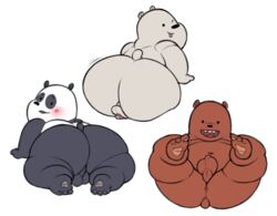 anus ass backsack balls bear big_balls big_butt blush cartoon_network eccentricspider fur grizzly_(wbb) grizzly_bear ice_bear looking_at_viewer male male_only mammal one_eye_closed overweight overweight_male panda panda_(wbb) penis polar_bear presenting simple_background tongue tongue_out we_bare_bears wink