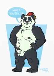 1boy anthro balls bear english_text erection fez fur hat looking_at_viewer male male_only mammal nipples nude panda penis simple_background smile solo text themongrel