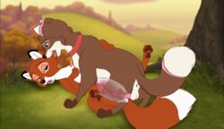 2020 2d 2d_animation animated anus balls black_body black_fur brown_body brown_fur brown_pawpads canid canine canis cheek_tuft chest_tuft collar digitigrade disney domestic_dog duo facial_tuft female female_penetrated feral feral_on_feral feral_penetrated feral_penetrating feral_penetrating_feral fox fur genitals gloves_(marking) hi_res internal leg_markings looking_at_another lying male male_penetrating male_penetrating_female mammal markings multicolored_body multicolored_fur on_back open_mouth orange_body orange_fur pawpads penetration penis pink_body pink_eyes pink_fur pussy quadruped red_body red_fur sex short_playtime socks_(marking) straight the_fox_and_the_hound tongue tongue_out tuft tuwka vaginal_penetration vixey white_body white_fur