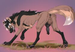 animal_genitalia backsack balls canid canine canine_genitalia feral genitals hi_res joonkorner karidas_(rexroyale) knot male mammal maned_wolf paws raised_paw rear_view sinister_smile solo