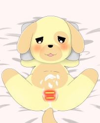 after_sex animal_crossing canine canine cum cum_in_pussy goldie_(animal_crossing) mammal solo