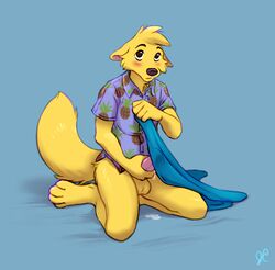 2018 4_toes 5_fingers anthro balls black_nose blush bottomless canine clothed clothing covering covering_crotch cum embarrassed fox fur gay goldenrod hand_on_penis kneeling male mammal masturbation partially_clothed penile_masturbation penis shirt signature simple_background solo thelupinprincess toes yellow_fur