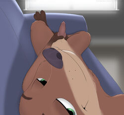 anthro bedroom_eyes canine disney erection fluffytuft fox green_eyes half-closed_eyes lighting looking_at_viewer male male_only mammal masturbation nick_wilde nude penis seductive selfie smile solo stroking zootopia