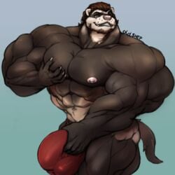 anthro beard bulge clothing facial_hair ferret grope huge_bulge hyper hyper_muscles looking_at_viewer male male_only mammal muscular muscular_male mustelid oldshep pecs penis_outline smile solo standing underwear