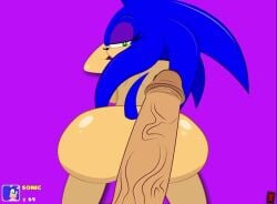 animated ctrl-z doggy_style huge_cock rule_63 sonic_(series) sonic_the_hedgehog sonic_transformed_2 tagme video