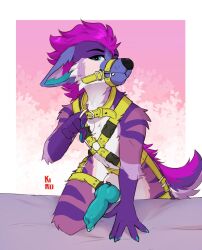 anthro fenneckiro genitals harness haze_the_hyena hi_res knot male penis solo