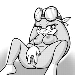 anthro anus avian bird black_and_white breasts clitoris clothing eyewear female fourssss genitals glasses headgear headgear_only headwear headwear_only hi_res hirundinid looking_at_viewer lying monochrome mostly_nude nipples on_back oscine passerine pussy sega sitting solo sonic_(series) sonic_riders sonic_the_hedgehog_(series) spread_legs spread_pussy spreading swallow_(bird) urethra wave_the_swallow