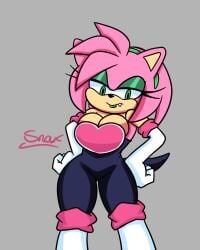 amy_rose amy_the_bat bodysuit breasts neckline rouge_the_bat_(cosplay) seductive_look sonic_(series) spandex_suit