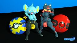 2boys 3d 3d_(artwork) cat_tail feline flexing furry furry_male litten male male_only nintendo penis pokémon_(species) poke_ball pokemon saiyangoku4_(artist) shinx slingshot_swimsuit underwear