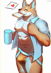 2018 abs absurd_res anthro canine clothed clothing dkqksms1004 fur hi_res jockstrap male male_only mammal multicolored_fur muscular muscular_male nipples open_shirt pecs