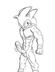 anthro fur hedgehog k3rry male male_only mammal monochrome muscles nude penis sega solo sonic_(series) sonic_1 sonic_team sonic_the_hedgehog sonic_the_hedgehog_(series) standing straight_hair tagme