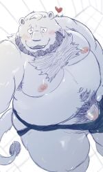 1boy 2024 anthro beard belly big_belly blush clothing dain_4201 facial_hair felid genitals heart_symbol hi_res jockstrap kemono lion male male_only mammal mature_male moobs nipples overweight overweight_male pantherine penis pubes scar solo solo_male underwear