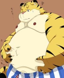 2024 anthro barely_visible_genitalia barely_visible_penis belly big_belly bodily_fluids censored clothing felid genitals hi_res humanoid_hands japanese_text kemono male mammal moobs navel nipples overweight overweight_male pantherine penis simple_background solo sweat text tiger tolsche underwear