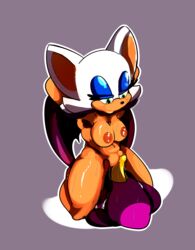 anthro breasts espio_the_chameleon facesitting furry nipples no_humans nude pussy unknown_artist