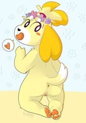 acreep animal_crossing anthro beach canine cute female flower isabelle_(animal_crossing) mammal nintendo nude paws plant seaside solo video_games