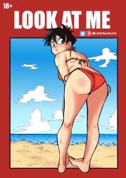 beach dragon_ball dragon_ball_z lemonjoojoo videl