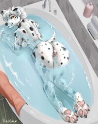 2024 4_toes 5_fingers all_fours anthro anus ass bathing bathtub black_nose black_spots breasts canid canine canis claws dalmatian domestic_dog eleacat feet female fingers fur genitals hair hi_res hindpaw humanoid_hands looking_at_viewer looking_back looking_back_at_viewer mammal markings nude nude_anthro nude_female partially_submerged pawpads paws pink_pawpads pussy signature smile solo spots spotted_body spotted_fur toe_claws toes towel water white_body white_fur white_hair